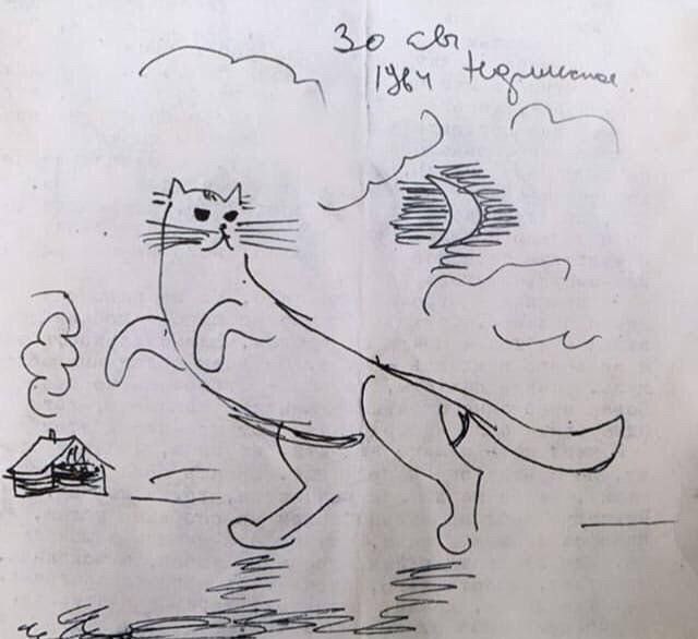 مردی که خودش را در گربه ها می دید	